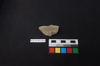 陶片藏品圖，第2張