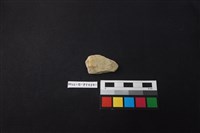 陶片藏品圖，第1張