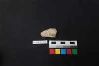 陶片藏品圖，第2張