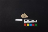 陶片藏品圖，第2張