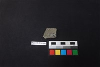 陶片藏品圖，第2張