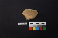 陶片藏品圖，第2張