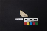 陶片藏品圖，第2張