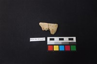 陶片藏品圖，第1張