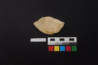 陶片藏品圖，第2張