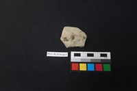 陶片藏品圖，第1張