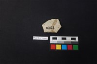 陶片藏品圖，第2張