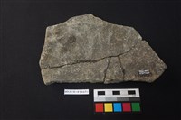 陶片藏品圖，第2張