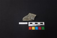 陶片藏品圖，第2張