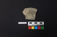 陶片藏品圖，第2張