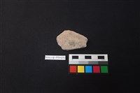 陶片藏品圖，第1張