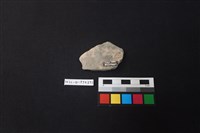 陶片藏品圖，第2張