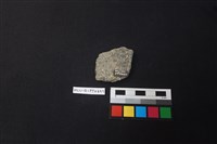 陶片藏品圖，第2張