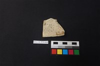 陶片藏品圖，第2張