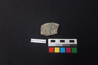 陶片藏品圖，第2張