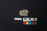 陶片藏品圖，第1張