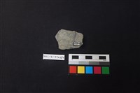 陶片藏品圖，第2張