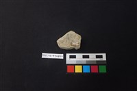 陶片藏品圖，第2張