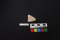 陶片藏品圖，第1張