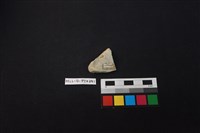 陶片藏品圖，第2張