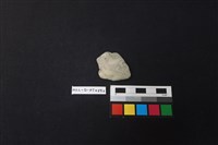 陶片藏品圖，第1張