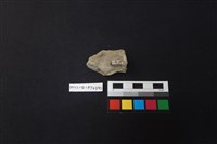 陶片藏品圖，第2張