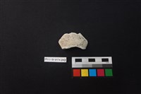 陶片藏品圖，第2張