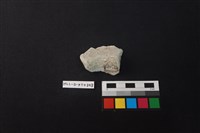 陶片藏品圖，第3張