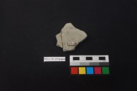 陶片藏品圖，第2張