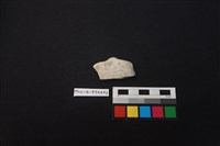 陶片藏品圖，第1張