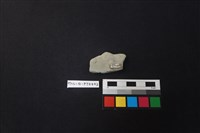 陶片藏品圖，第2張