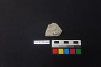 陶片藏品圖，第2張