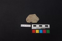 陶片藏品圖，第1張