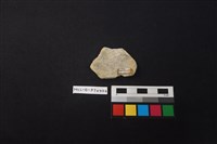 陶片藏品圖，第2張