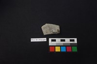 陶片藏品圖，第2張