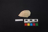 陶片藏品圖，第1張