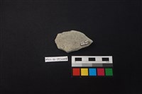 陶片藏品圖，第2張