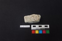 陶片藏品圖，第2張