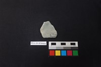 陶片藏品圖，第2張