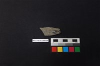 陶片藏品圖，第2張