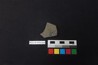 陶片藏品圖，第2張