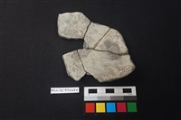 陶片藏品圖，第2張