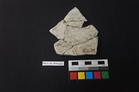 陶片藏品圖，第2張