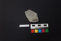 陶片藏品圖，第2張