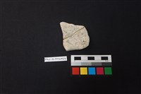 陶片藏品圖，第2張