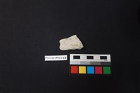 陶片藏品圖，第2張