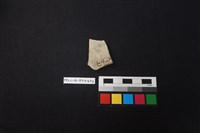 陶片藏品圖，第2張