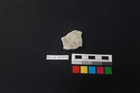 陶片藏品圖，第2張