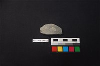 陶片藏品圖，第1張