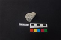 陶片藏品圖，第2張